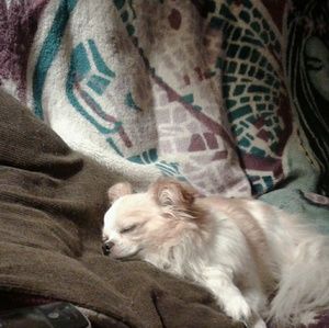 Meet your Posher, Tina